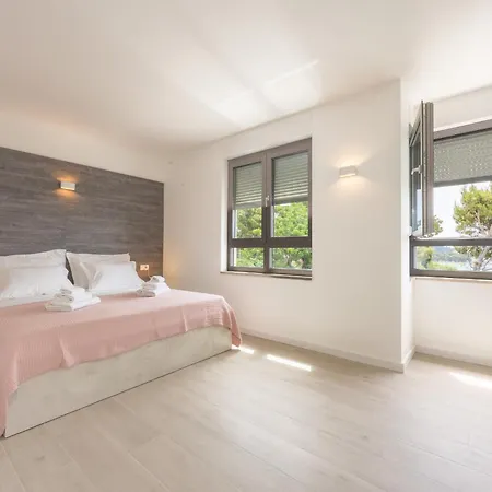 Beachfront Sunrise Srzic Apartment